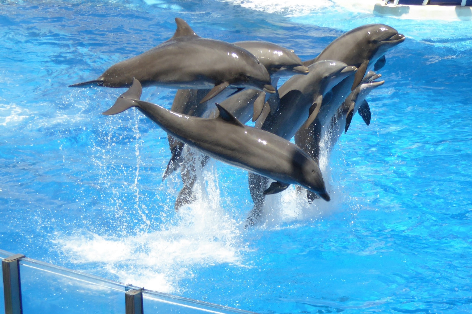 SeaWorld Orlando